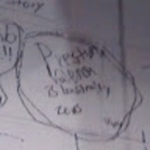 Meet your Posher, Preston